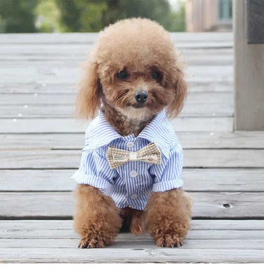 Thin Style Shirt Breathable for Pets - inupaw