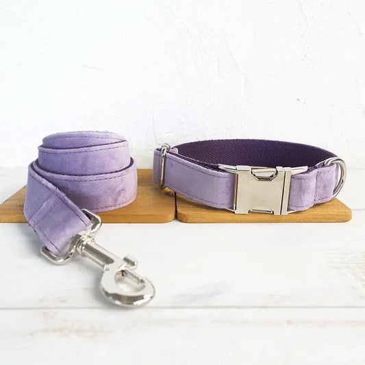 Vintage Elegance Collar and Leash for Dogs inupaw