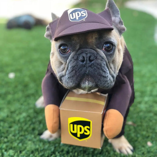 Cosplay Delivery Worker for Pets - inupaw