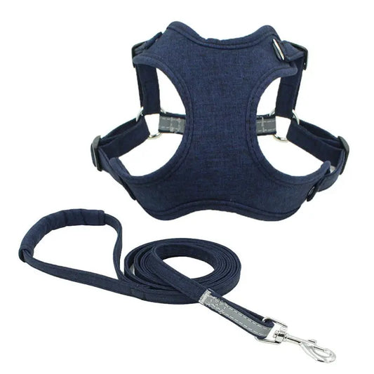 Lightweight Traction Leash For Dogs inupaw
