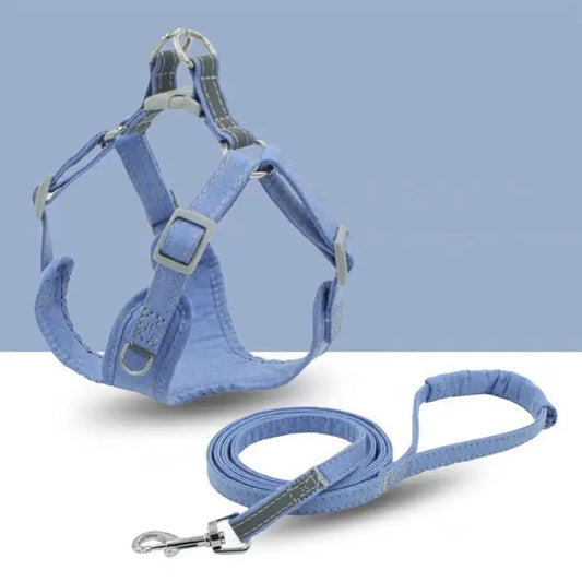 Lightweight Traction Leash For Dogs inupaw